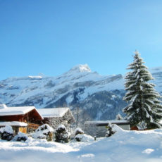 Kalka taxi service, fare, availability and guided roadmap Kalka taxi service, fare, availability and guided roadmap