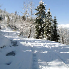 Enjoy Kalka to Shimla train in snowfall with pick and drop taxi Enjoy Kalka to Shimla train in snowfall with pick and drop taxi