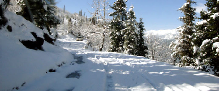 Enjoy Kalka to Shimla train in snowfall with pick and drop taxi