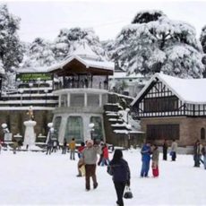 Kalka Shimla taxi service, bookings and fare at nominal rates