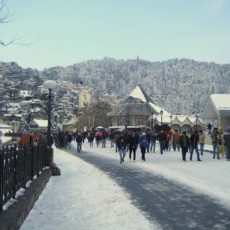 Taxi fare from Kalka to Shimla, fare, availability & discounts